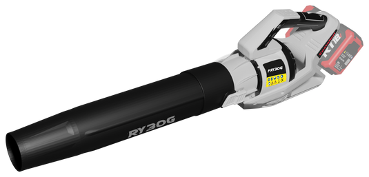 Soffiatore RY30G