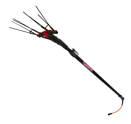 Raccogli olive VERTIGO CARBON 12V